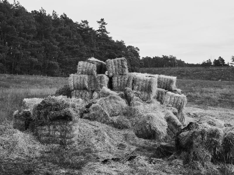 © Henry Schulz - Image from the people things photography project
