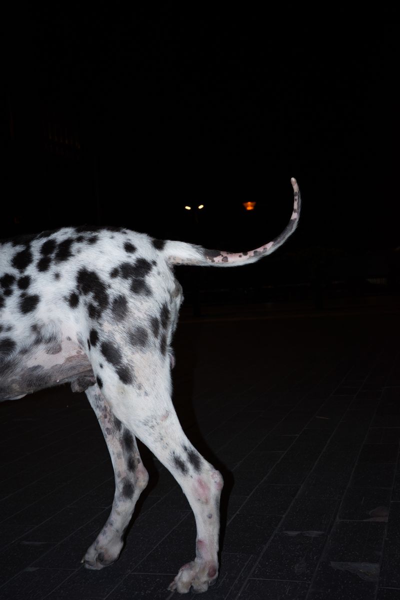 © Xibei Zhang - Image from the Veiled Longing photography project