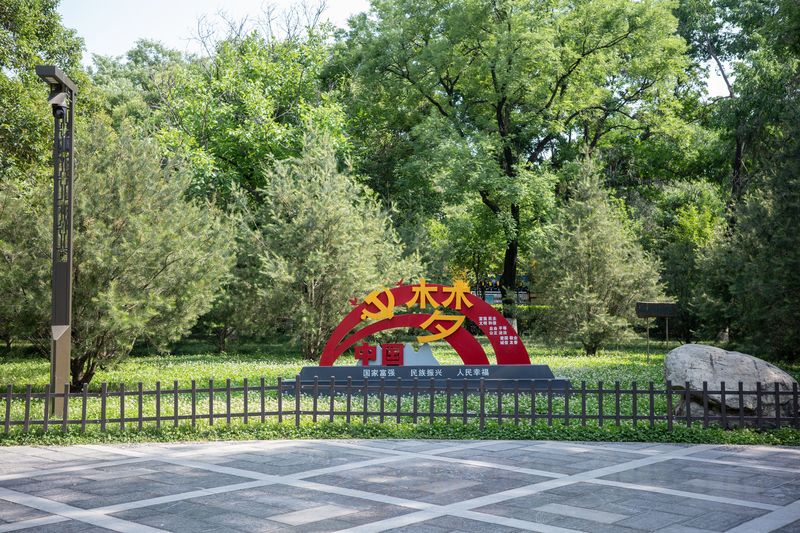 © Xibei Zhang - Image from the Veiled Longing photography project