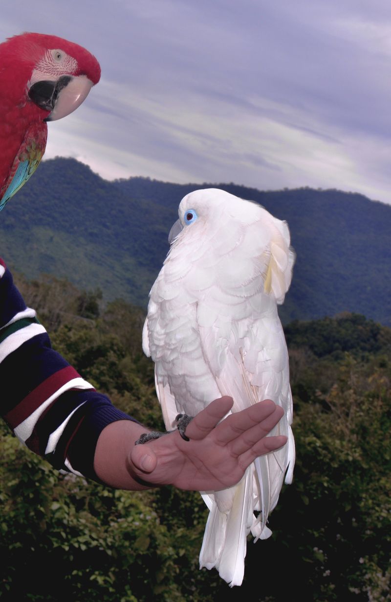 © Xibei Zhang - Image from the Veiled Longing photography project