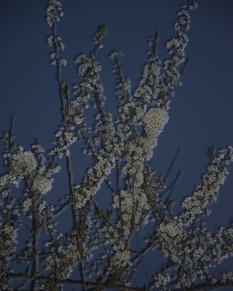 © Satyadeep - Image from the THY KINGDOM COME photography project