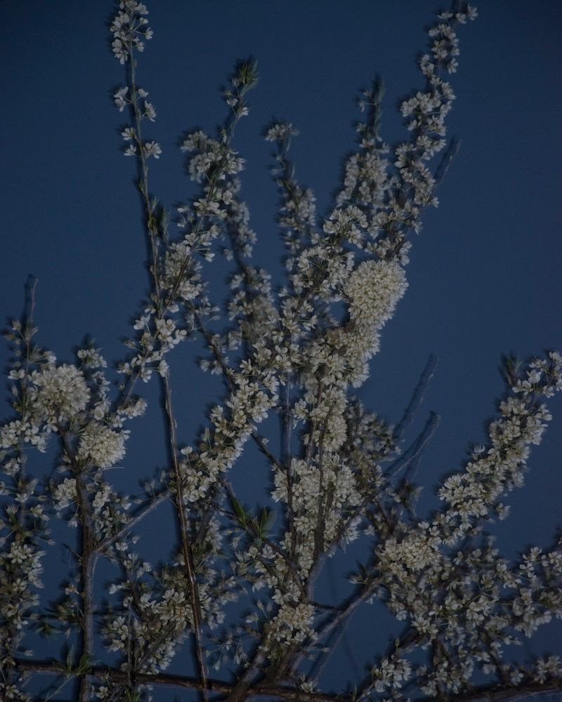 © Satyadeep - Image from the THY KINGDOM COME photography project