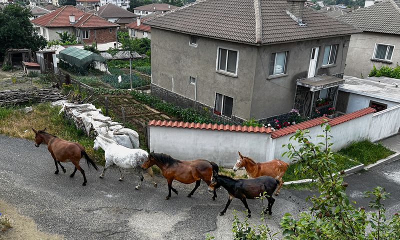 © Taushik Mandal - Image from the Becoming A Kirkovchanin photography project