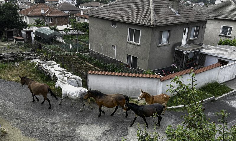 © Taushik Mandal - Image from the Becoming A Kirkovchanin photography project