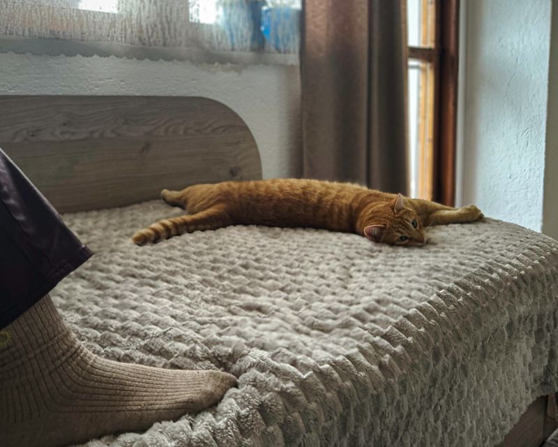 © Taushik Mandal - Image from the Becoming A Kirkovchanin photography project