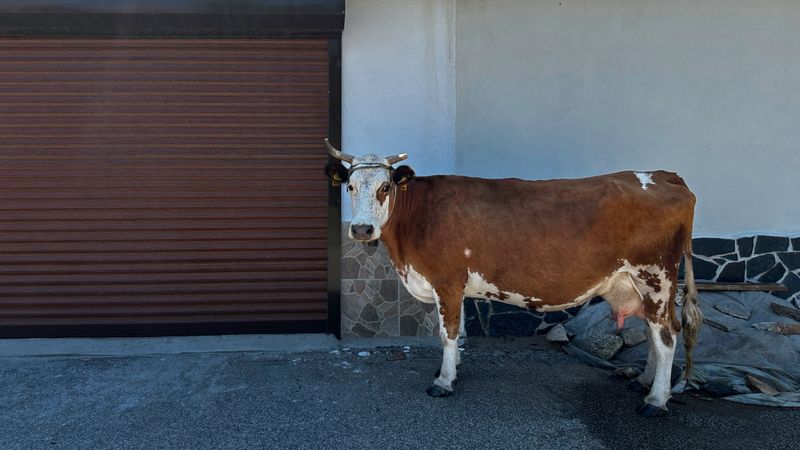 © Taushik Mandal - Image from the Becoming A Kirkovchanin photography project