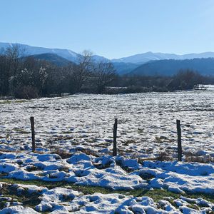 Becoming A Kirkovchanin