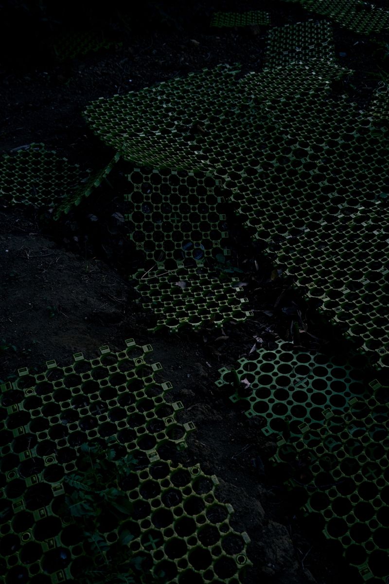 © Kai Yokoyama - Image from the I miss the smell of jasmine in Palestine photography project