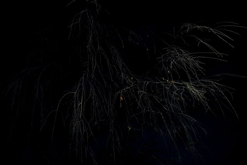 © Kai Yokoyama - Image from the I miss the smell of jasmine in Palestine photography project