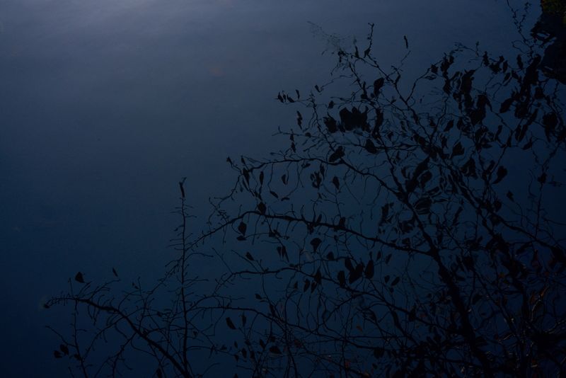 © Kai Yokoyama - Image from the I miss the smell of jasmine in Palestine photography project