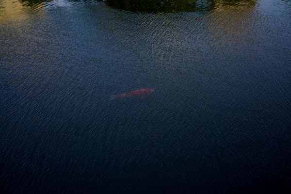 © Kai Yokoyama - My grandfather became deaf after he came back from the Pacific War.