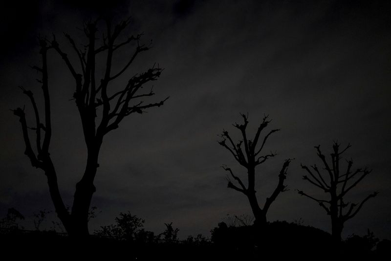 © Kai Yokoyama - The place where I live was destroyed by the Tokyo air raid 75 years ago.