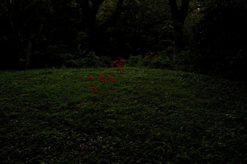 © Kai Yokoyama - Image from the The day you were born, I wasn’t born yet photography project