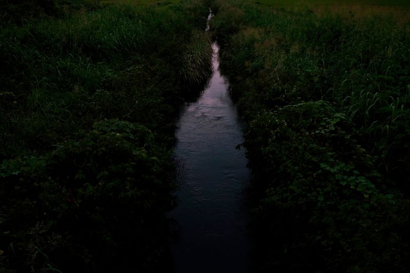 © Kai Yokoyama - I was born at dawn. The day was a month earlier than my scheduled date.