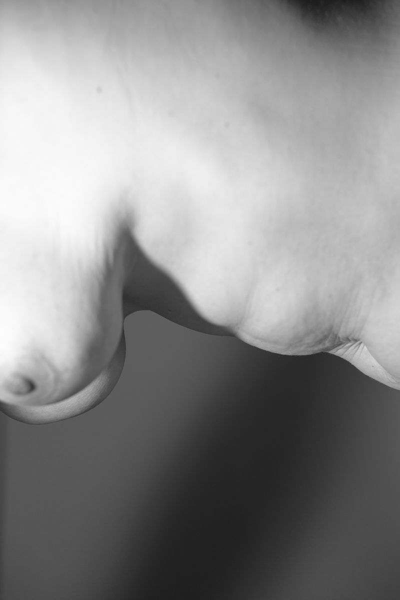 © Lauren Pisano - Image from the OO photography project