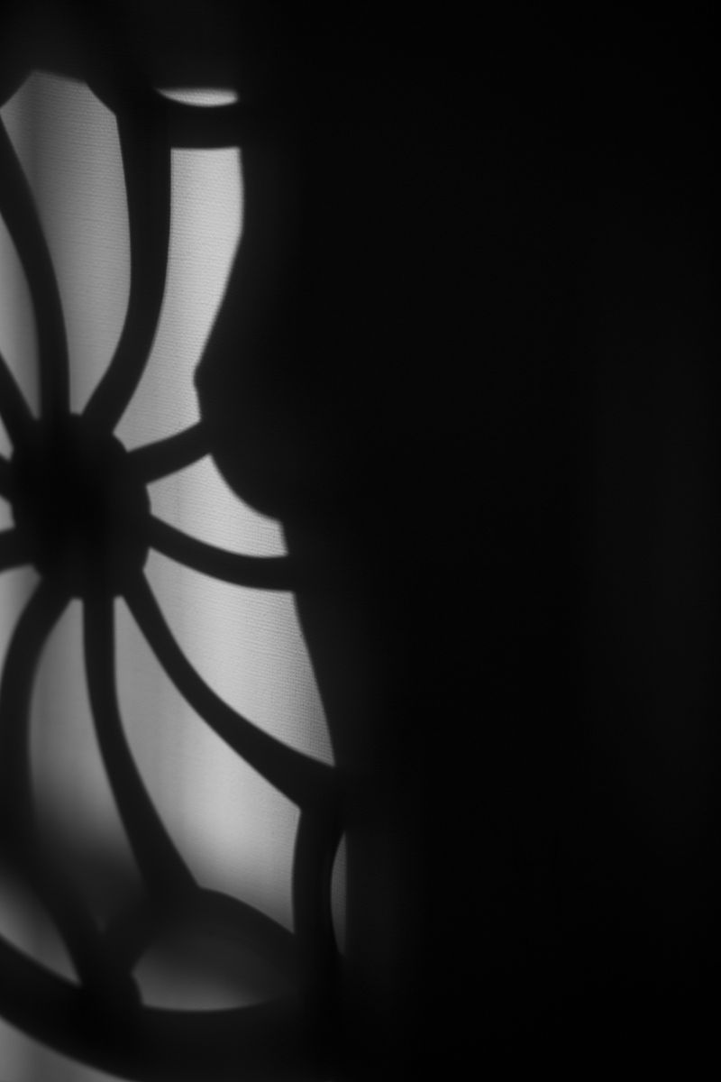 © Lauren Pisano - Image from the Reduction photography project