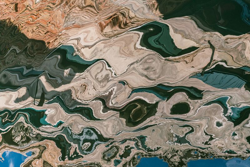 © Mary Catherine Messner - The Bird