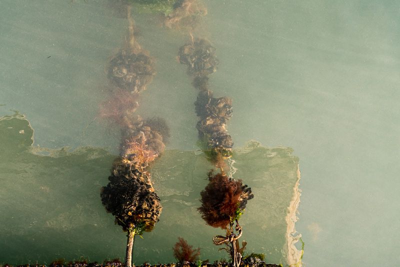 © Mary Catherine Messner - Image from the Aqua Marina photography project