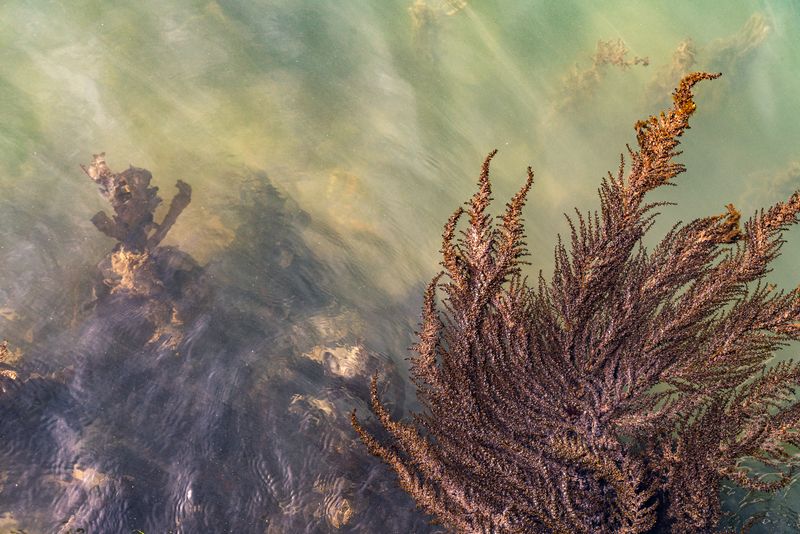 © Mary Catherine Messner - Image from the Aqua Marina photography project