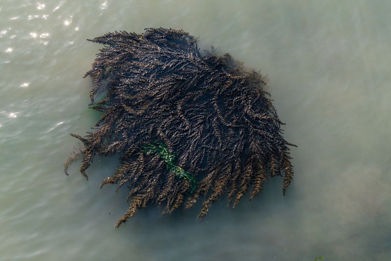 © Mary Catherine Messner - Image from the Aqua Marina photography project