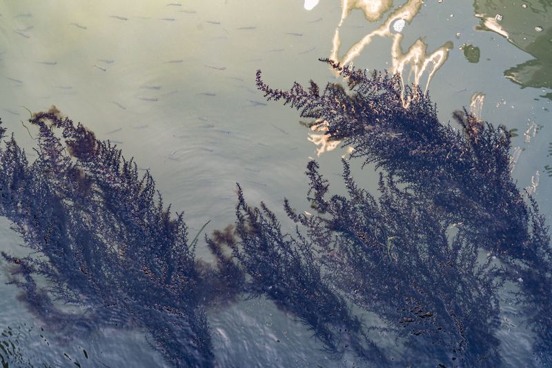 © Mary Catherine Messner - Image from the Aqua Marina photography project