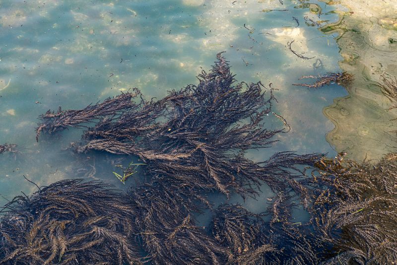 © Mary Catherine Messner - Image from the Aqua Marina photography project