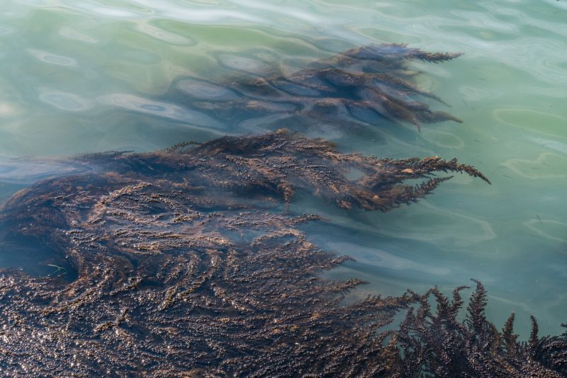 © Mary Catherine Messner - Image from the Aqua Marina photography project