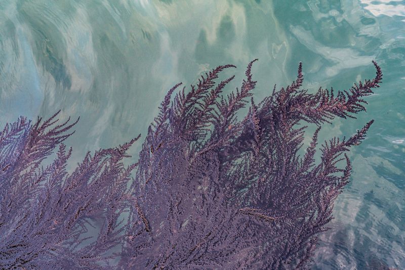 © Mary Catherine Messner - Image from the Aqua Marina photography project