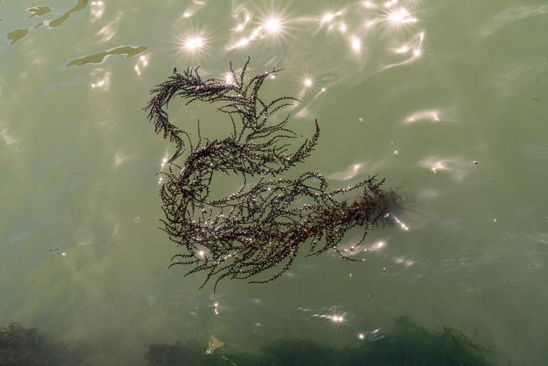 © Mary Catherine Messner - Image from the Aqua Marina photography project