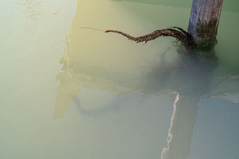 © Mary Catherine Messner - Image from the Aqua Marina photography project