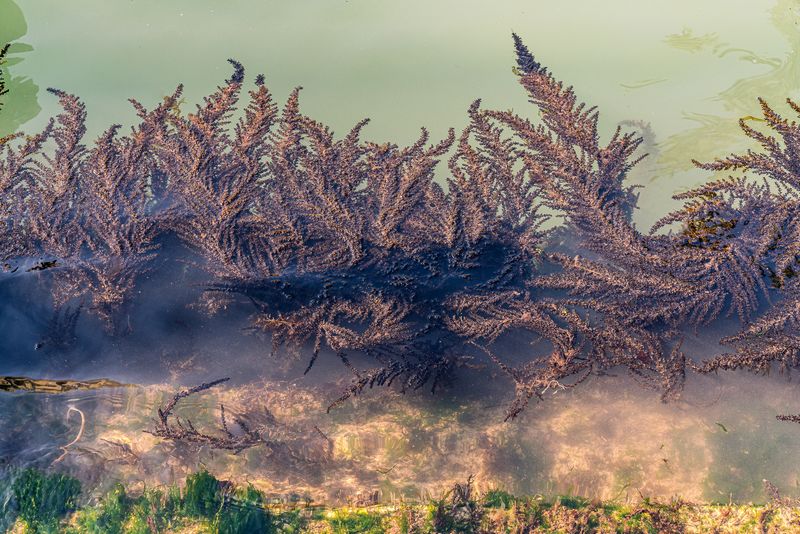 © Mary Catherine Messner - Image from the Aqua Marina photography project