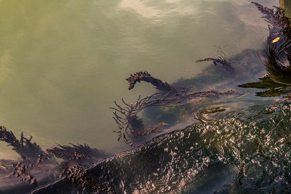 © Mary Catherine Messner - Image from the Aqua Marina photography project