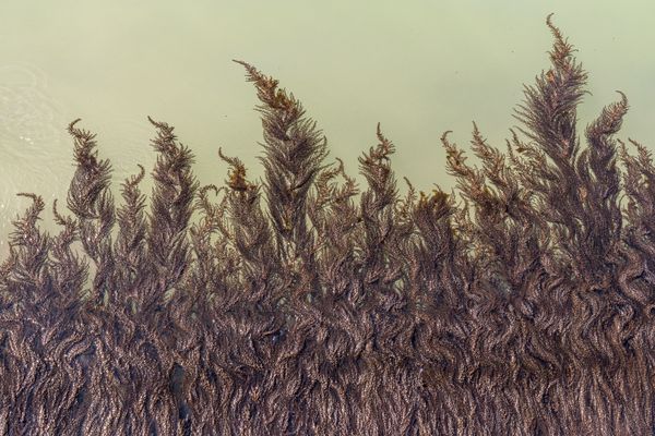 © Mary Catherine Messner - Image from the Aqua Marina photography project