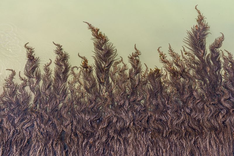 © Mary Catherine Messner - Image from the Aqua Marina photography project