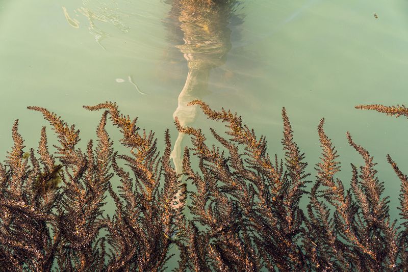 © Mary Catherine Messner - Image from the Aqua Marina photography project