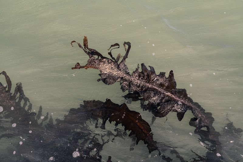 © Mary Catherine Messner - Image from the Aqua Marina photography project