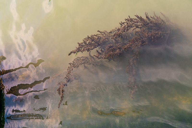 © Mary Catherine Messner - Image from the Aqua Marina photography project