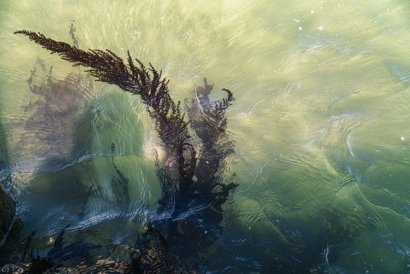 © Mary Catherine Messner - Image from the Aqua Marina photography project