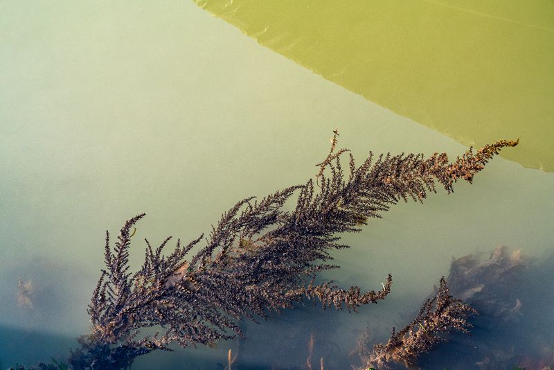 © Mary Catherine Messner - Image from the Aqua Marina photography project