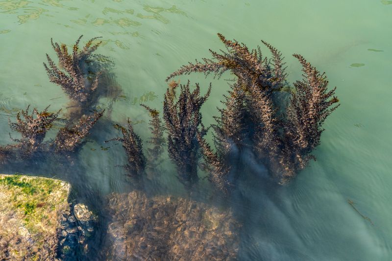 © Mary Catherine Messner - Image from the Aqua Marina photography project