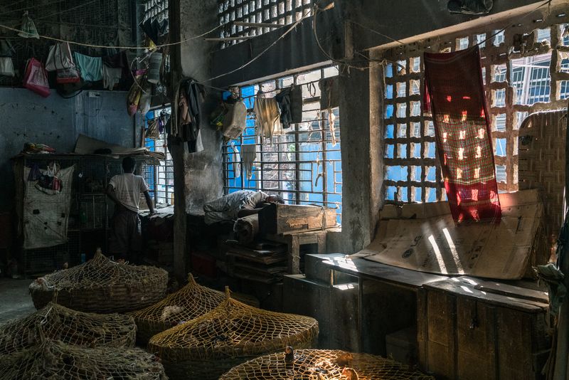 © Mary Catherine Messner - Inside the Chicken Market