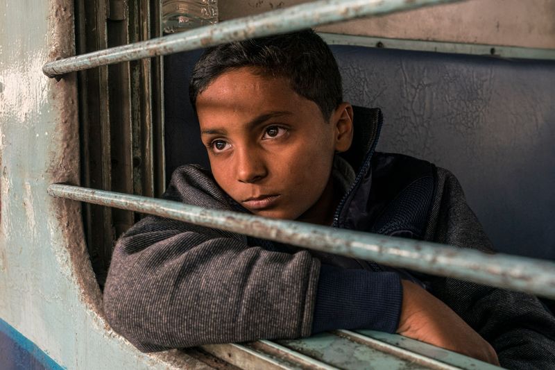 © Mary Catherine Messner - The Young Passenger