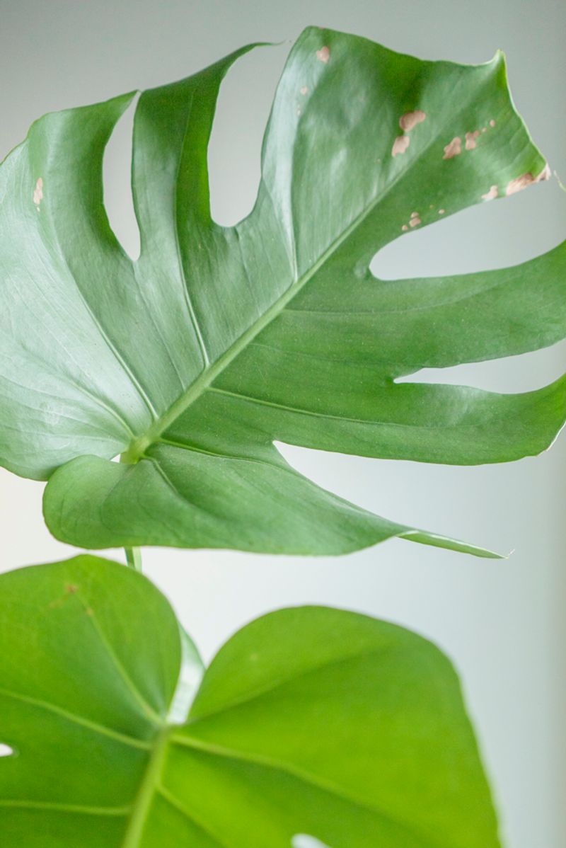 © Claudia Borgia - Image from the Hän photography project