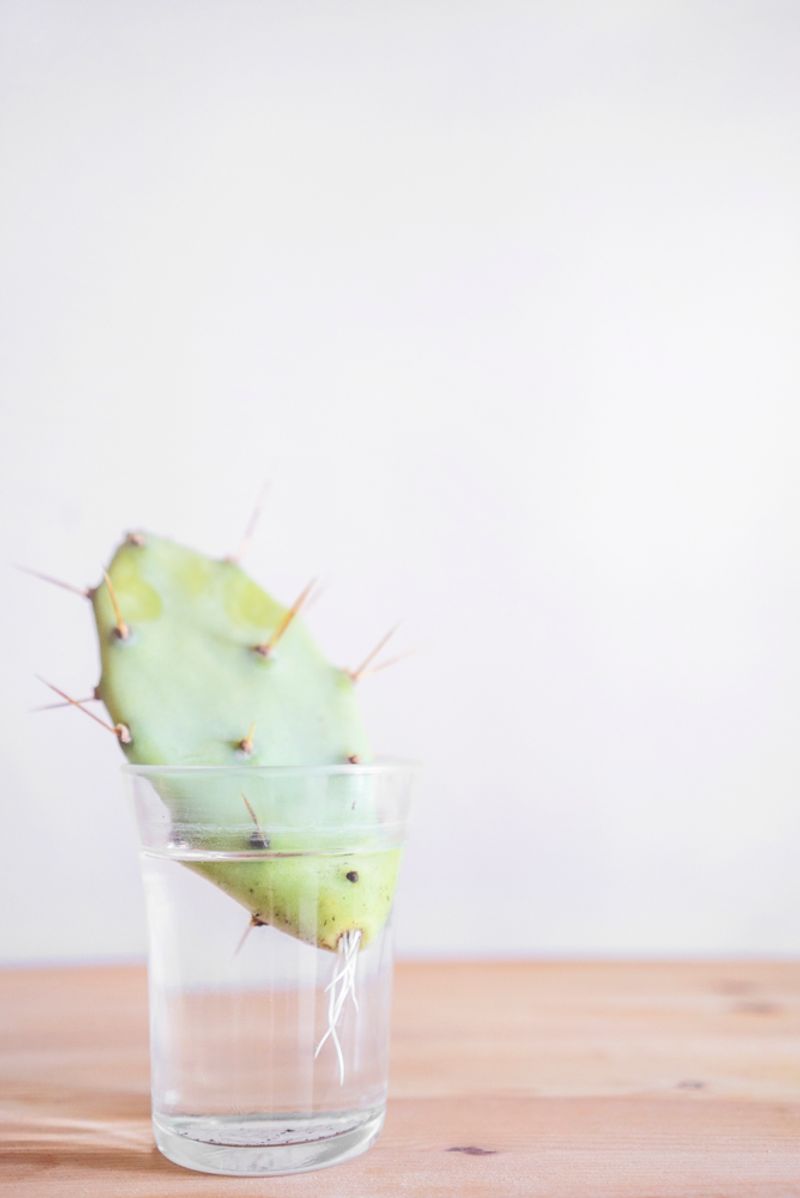 © Claudia Borgia - Image from the Hän photography project