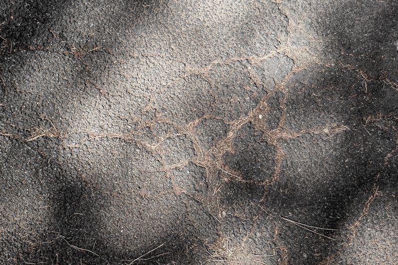 © Claudia Borgia - Image from the Hän photography project