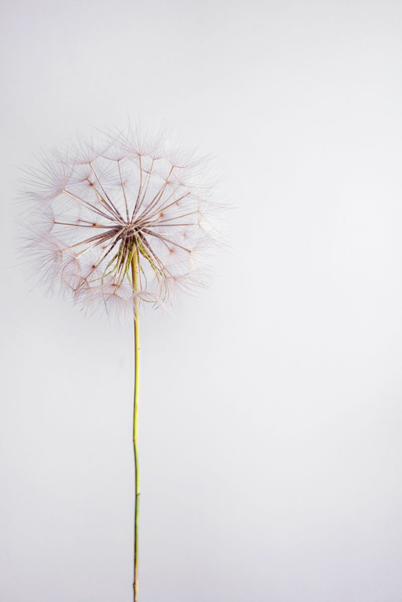 © Claudia Borgia - Image from the Hän photography project