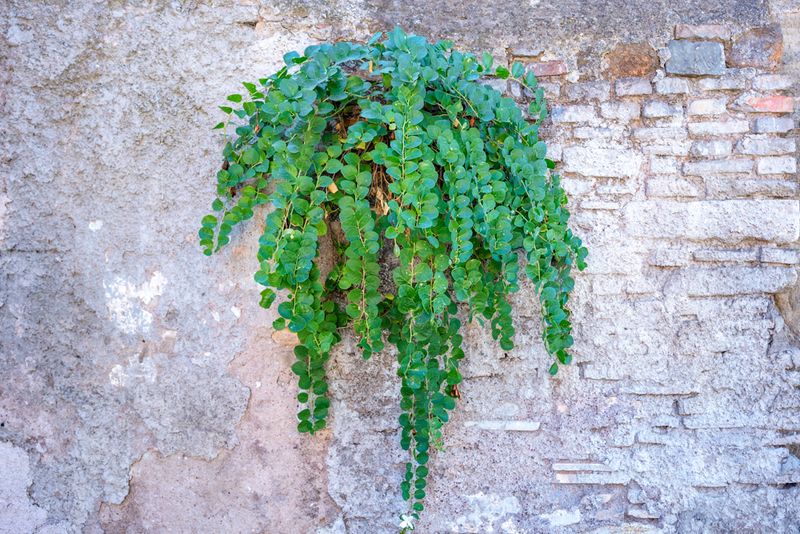 © Claudia Borgia - Image from the Hän photography project