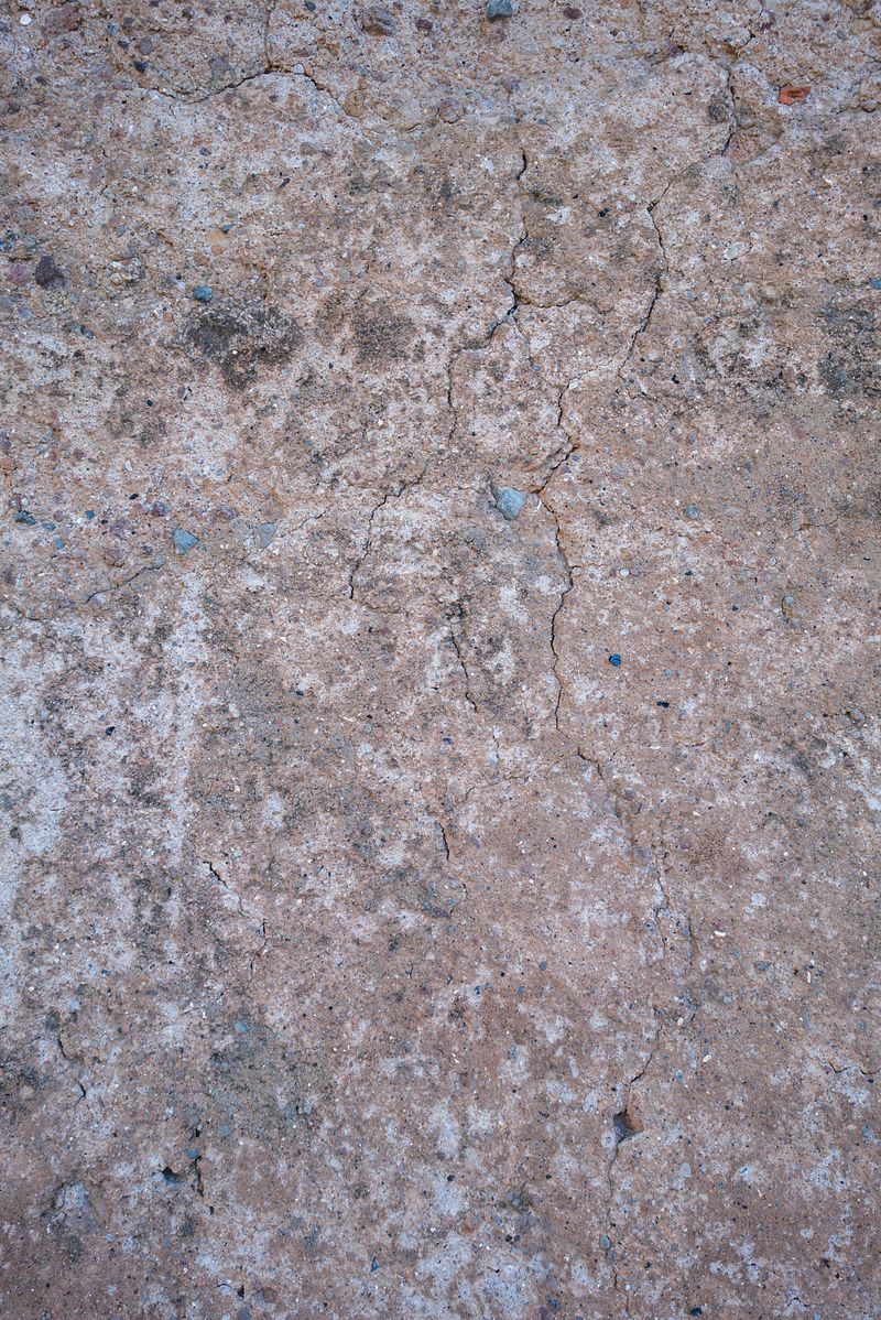 © Claudia Borgia - Image from the Neutral canvas photography project