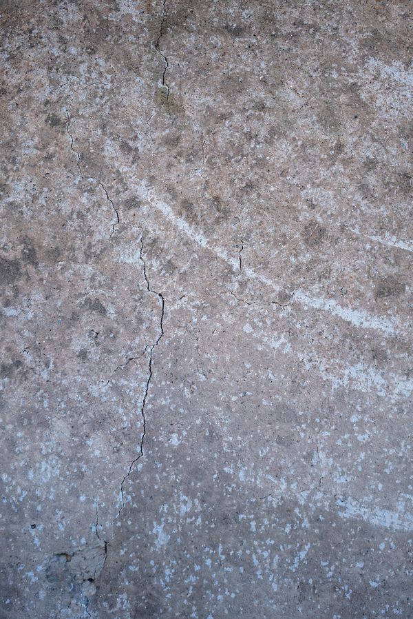 © Claudia Borgia - Image from the Neutral canvas photography project