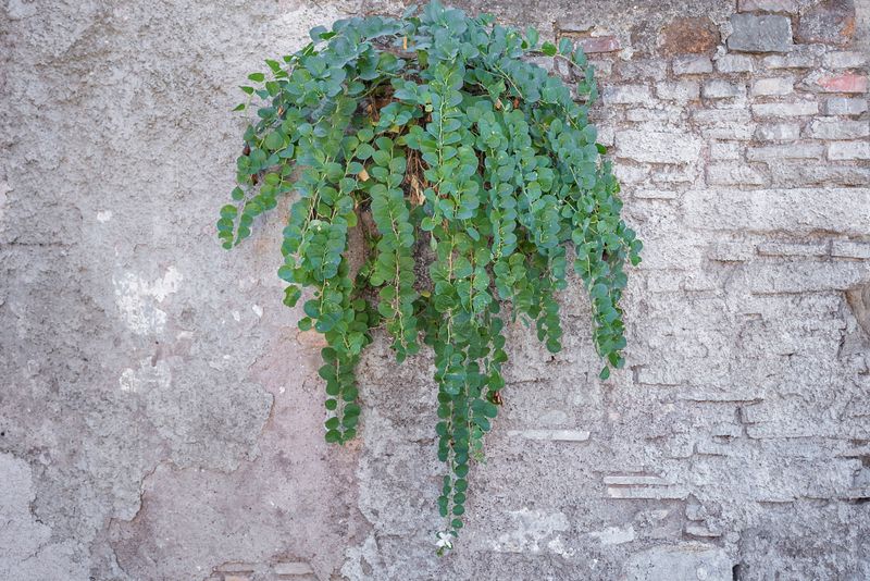 © Claudia Borgia - Image from the Neutral canvas photography project